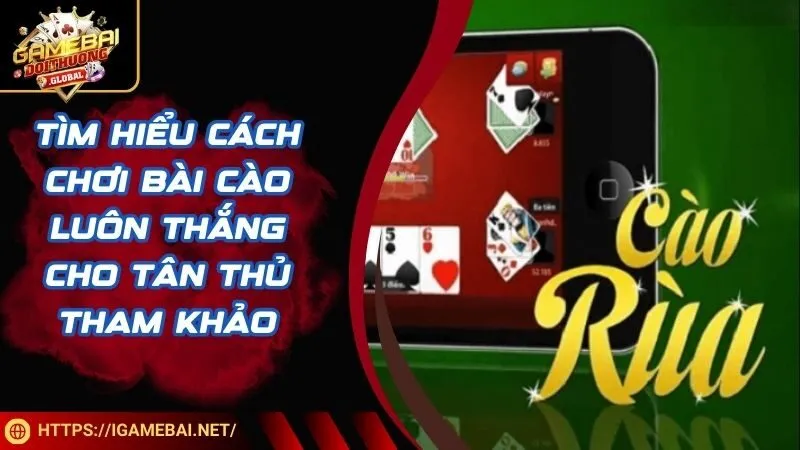 Tìm Hiểu Cách Chơi Bài Cào Luôn Thắng Cho Tân Thủ Tham Khảo